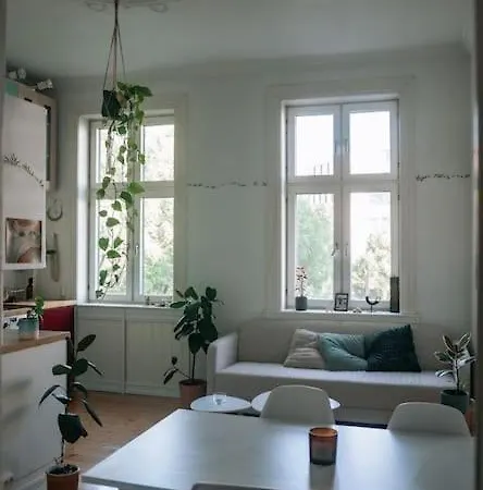 In The Heart Of Apartman